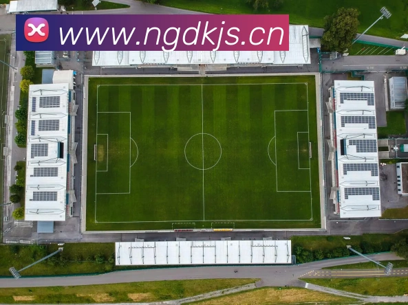 星空官方网页版平台生态图